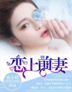 全职帅法